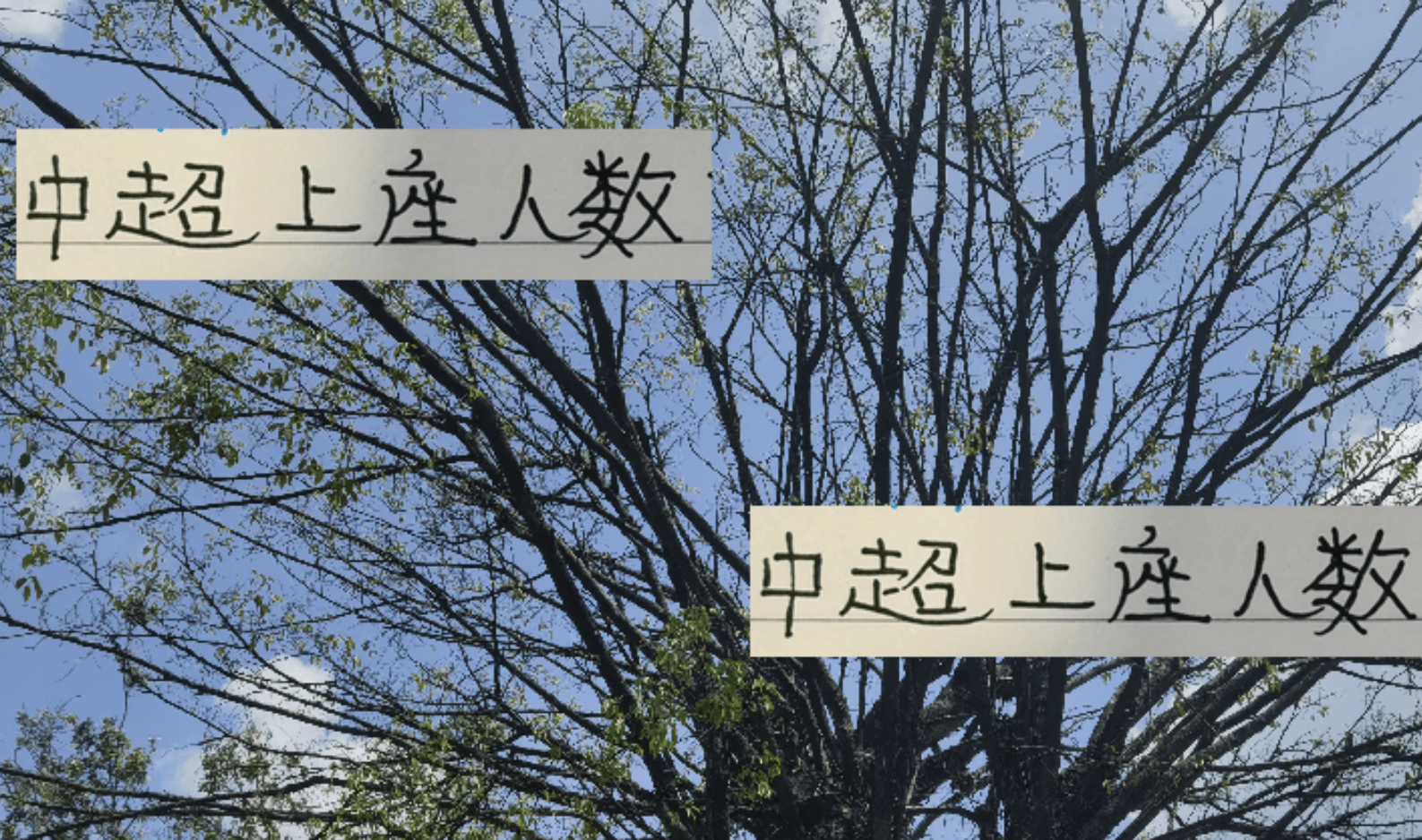 他们的八万